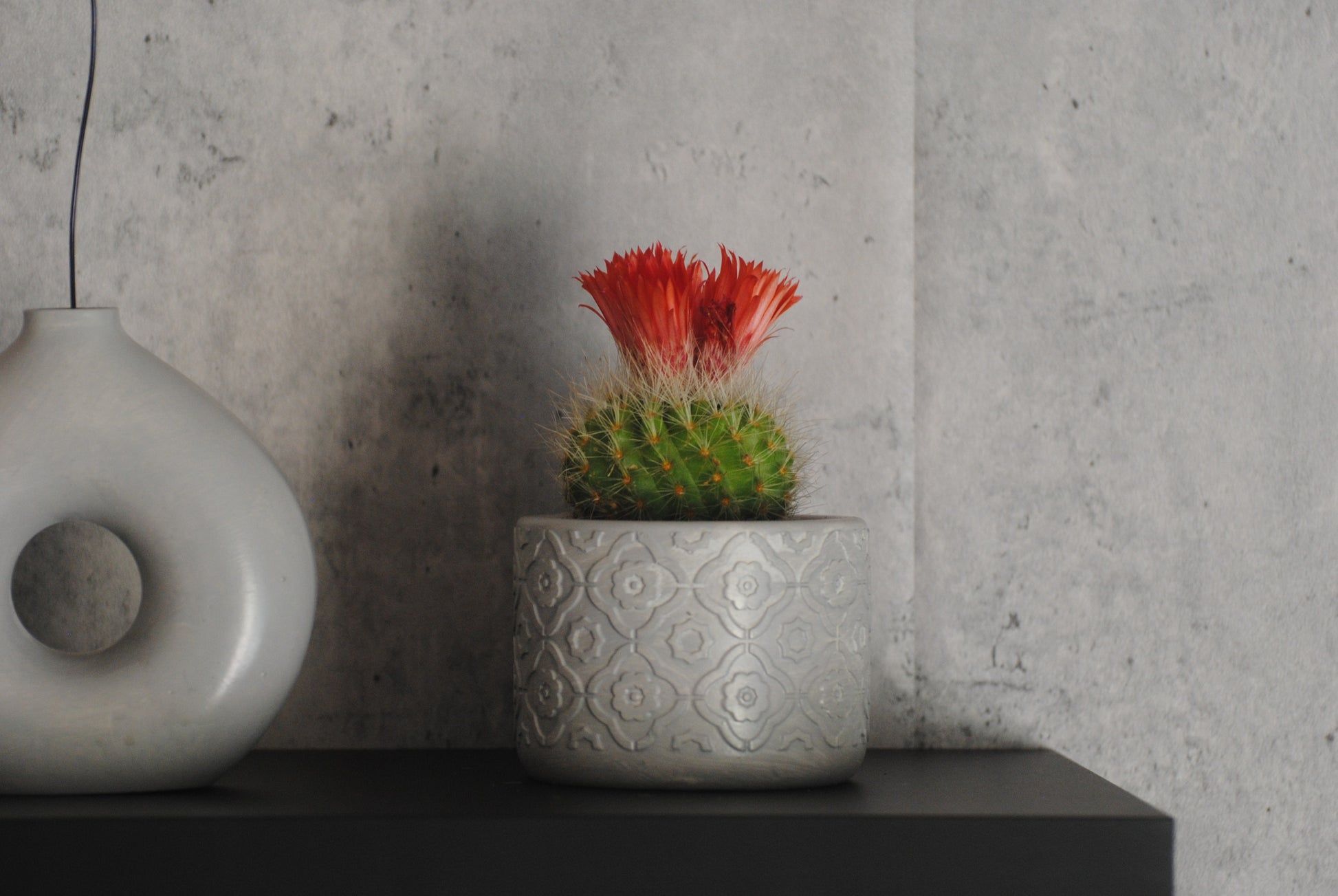 arisco® tienda de Productos de Decoración hechos en cemento. Conjunto de dos Piezas Redondas decoración hechas en Cemento. Cubre Macetas, Recipientes para Velas.