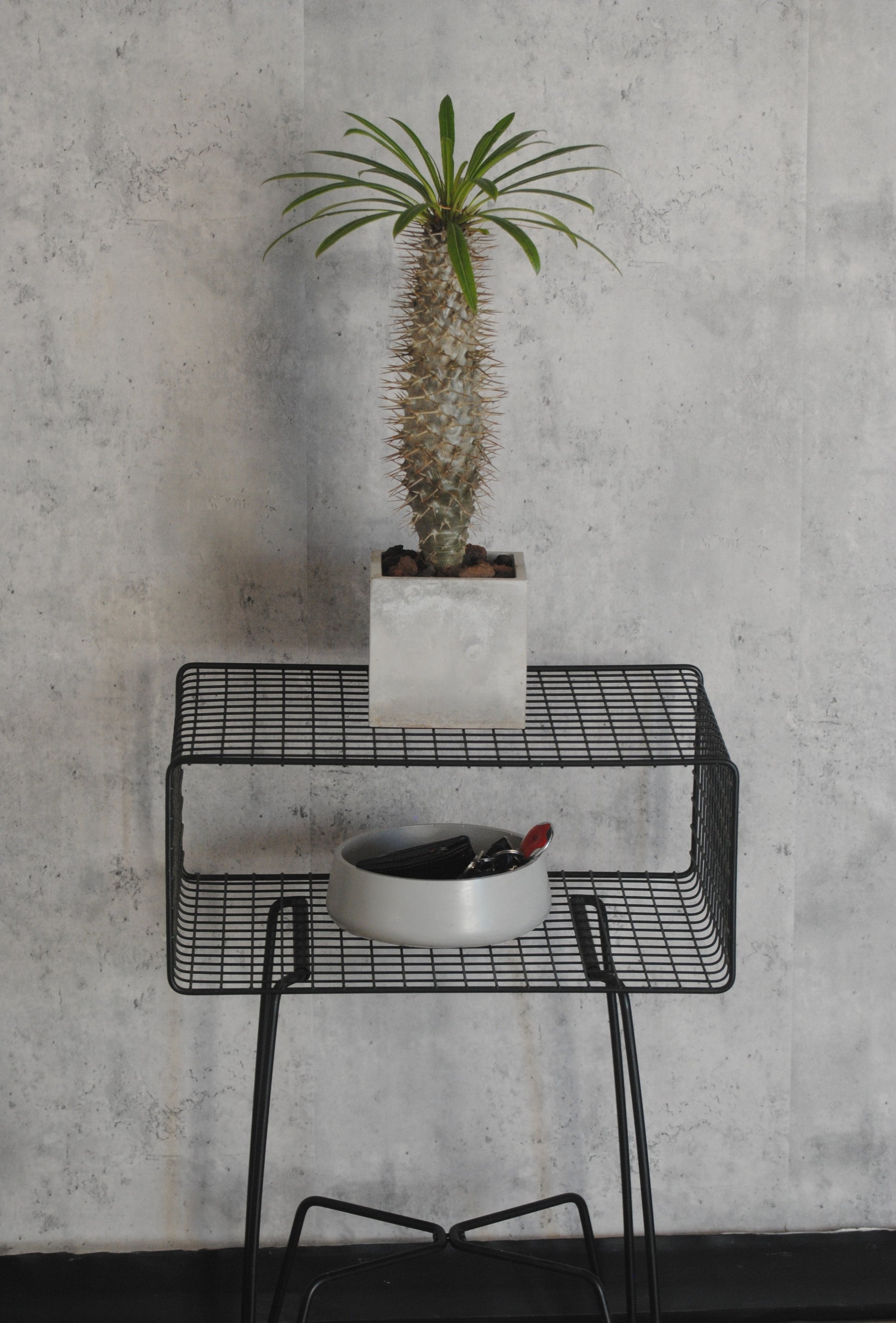 arisco® tienda de Productos de Decoración hechos en cemento. Pieza decoración Ovalada hecha en Cemento. Centro de mesa, Recipiente para Vela.