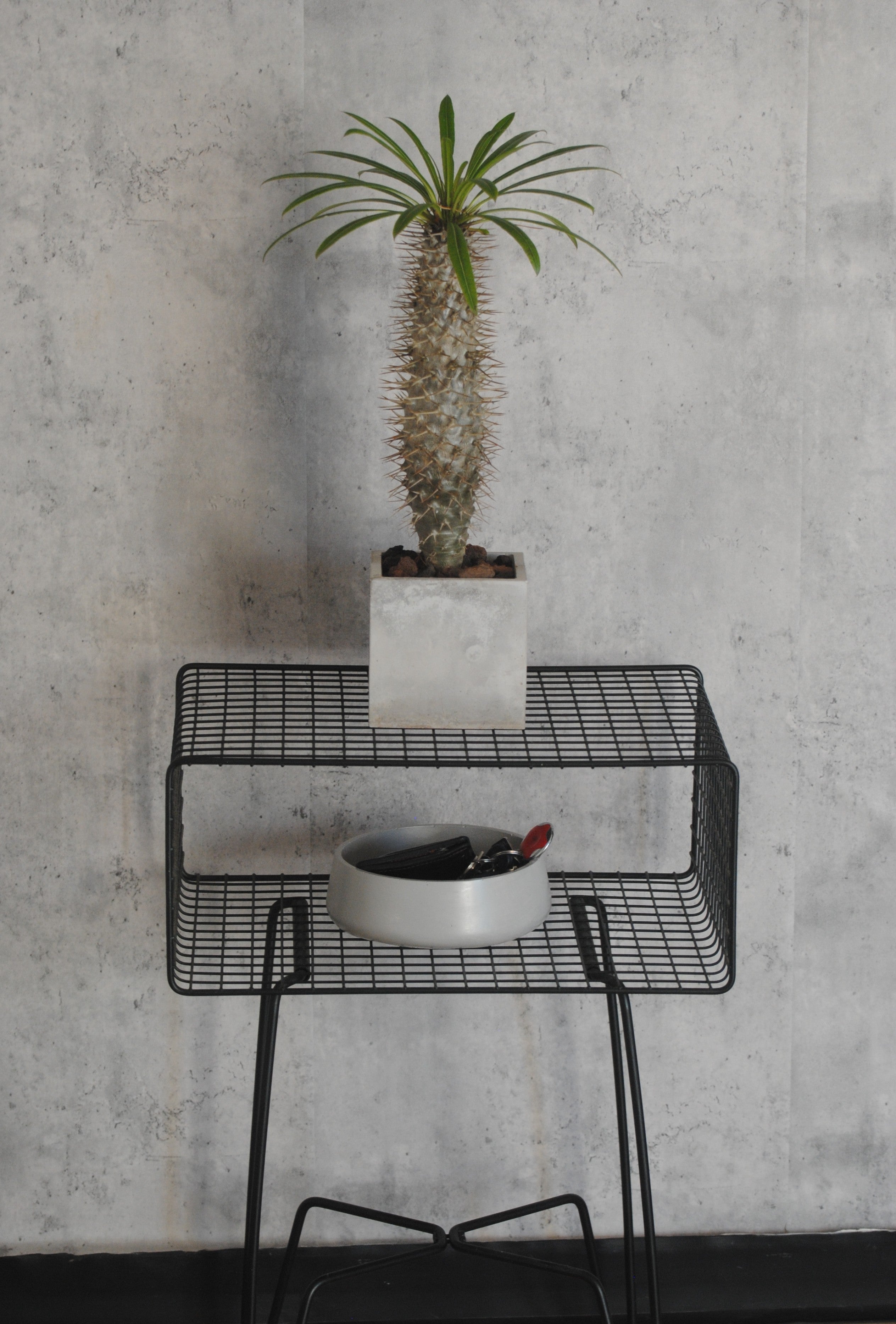 arisco® tienda de Productos de Decoración hechos en cemento. Pieza decoración Ovalada hecha en Cemento. Centro de mesa, Recipiente para Vela.