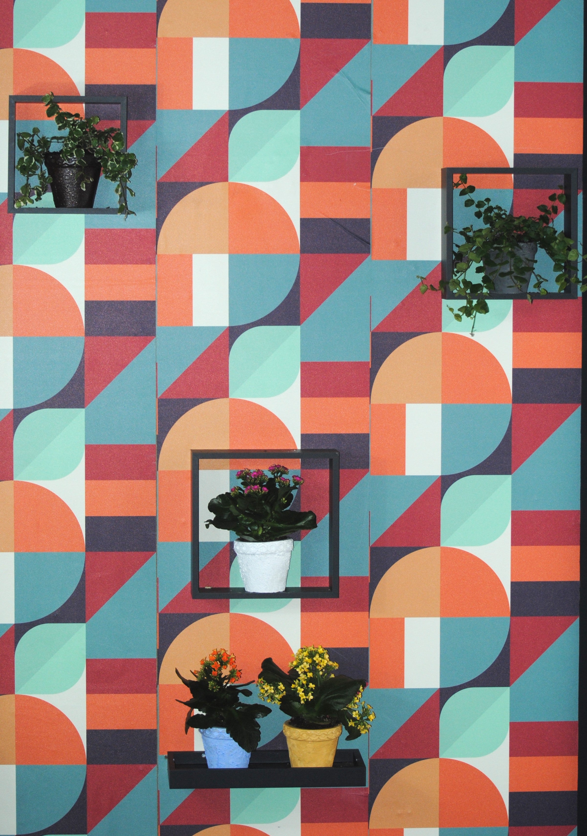 arisco® tienda de Productos de Decoración hechos en cemento. Maceta de Cemento varios Colores. Varias Medidas. Marca arisco®.