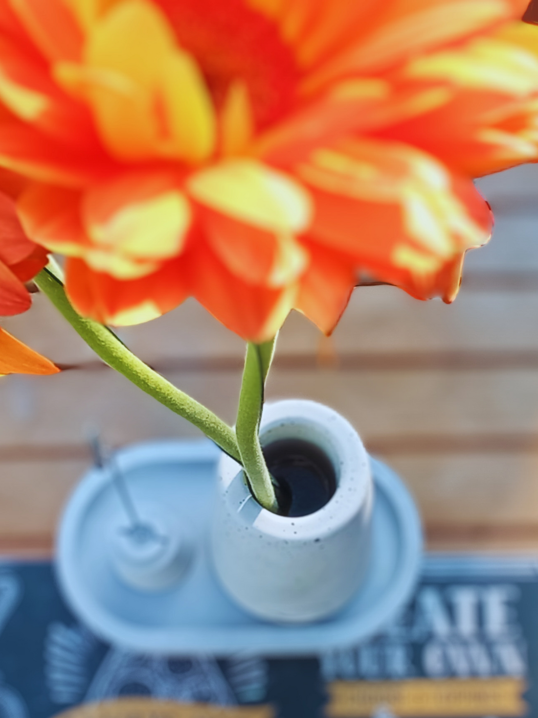 Terrazas que Enamoran: Cómo Decorar el Exterior de tu Restaurante con Cemento Artesanal