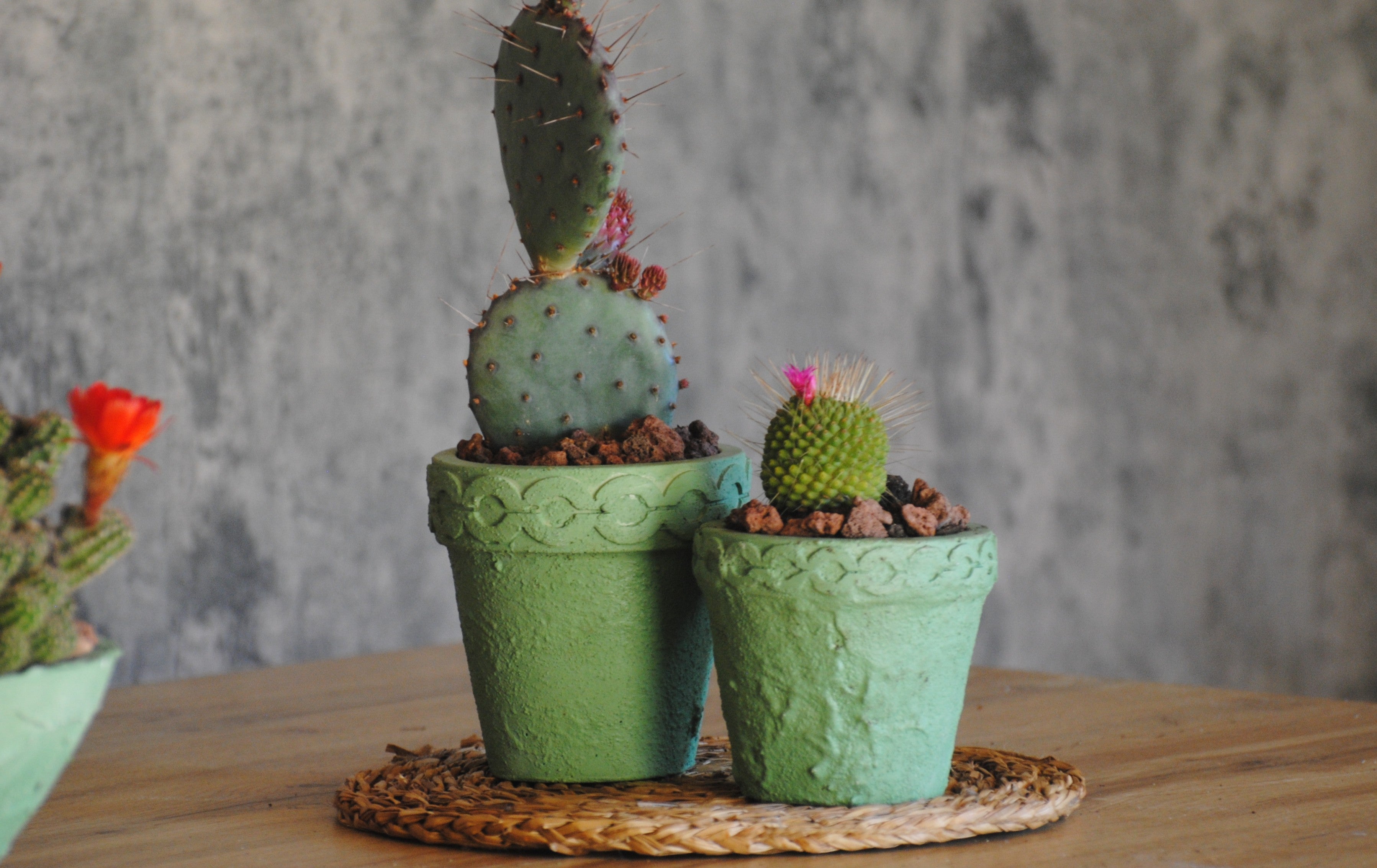 arisco® decoración hecha en cemento verde.