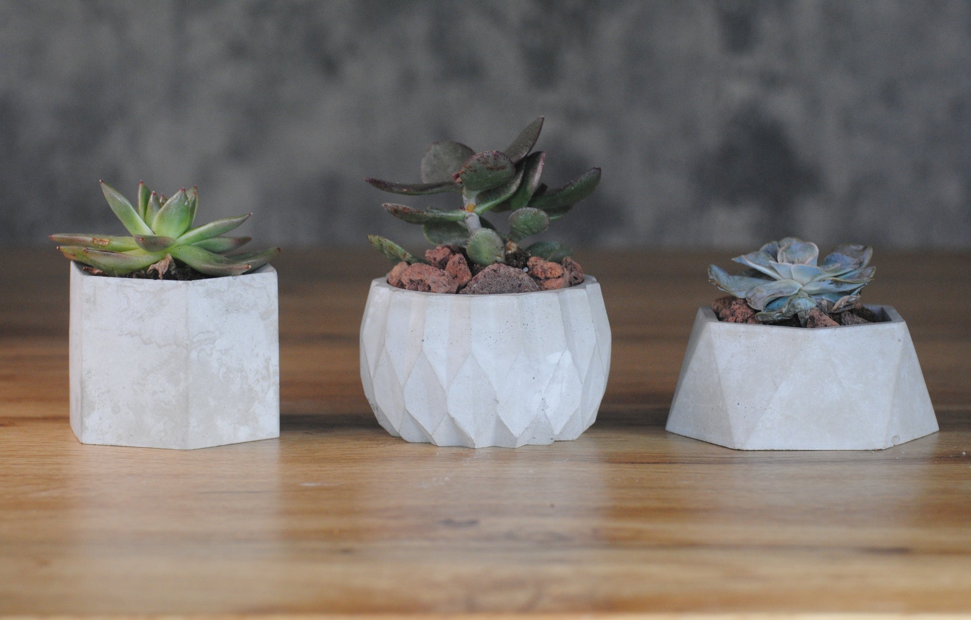 arisco® tienda de Productos de Decoración hechos en cemento. Trio de Macetas pequeñas varias formas y colores de cemento.